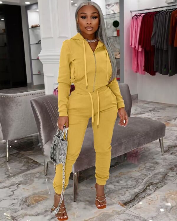 Fashionable women's velvet fabric hooded zipper casual suit